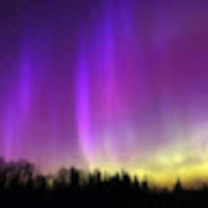 Meet your Posher, Kaia